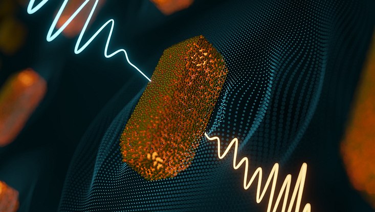 Wissenschaftliche Illustration