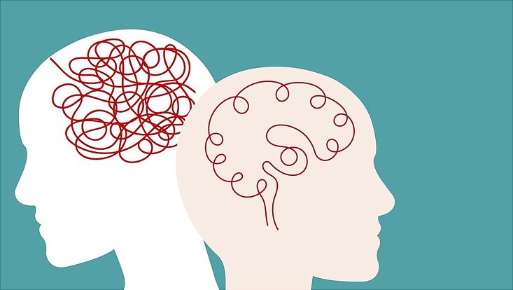 Illustration of two heads