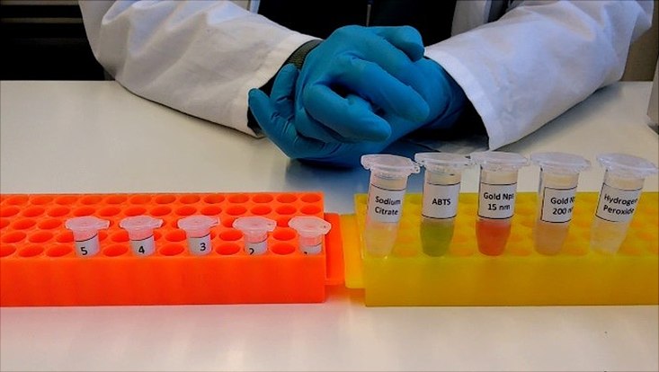 Verschiedene Proben im Probenhalter